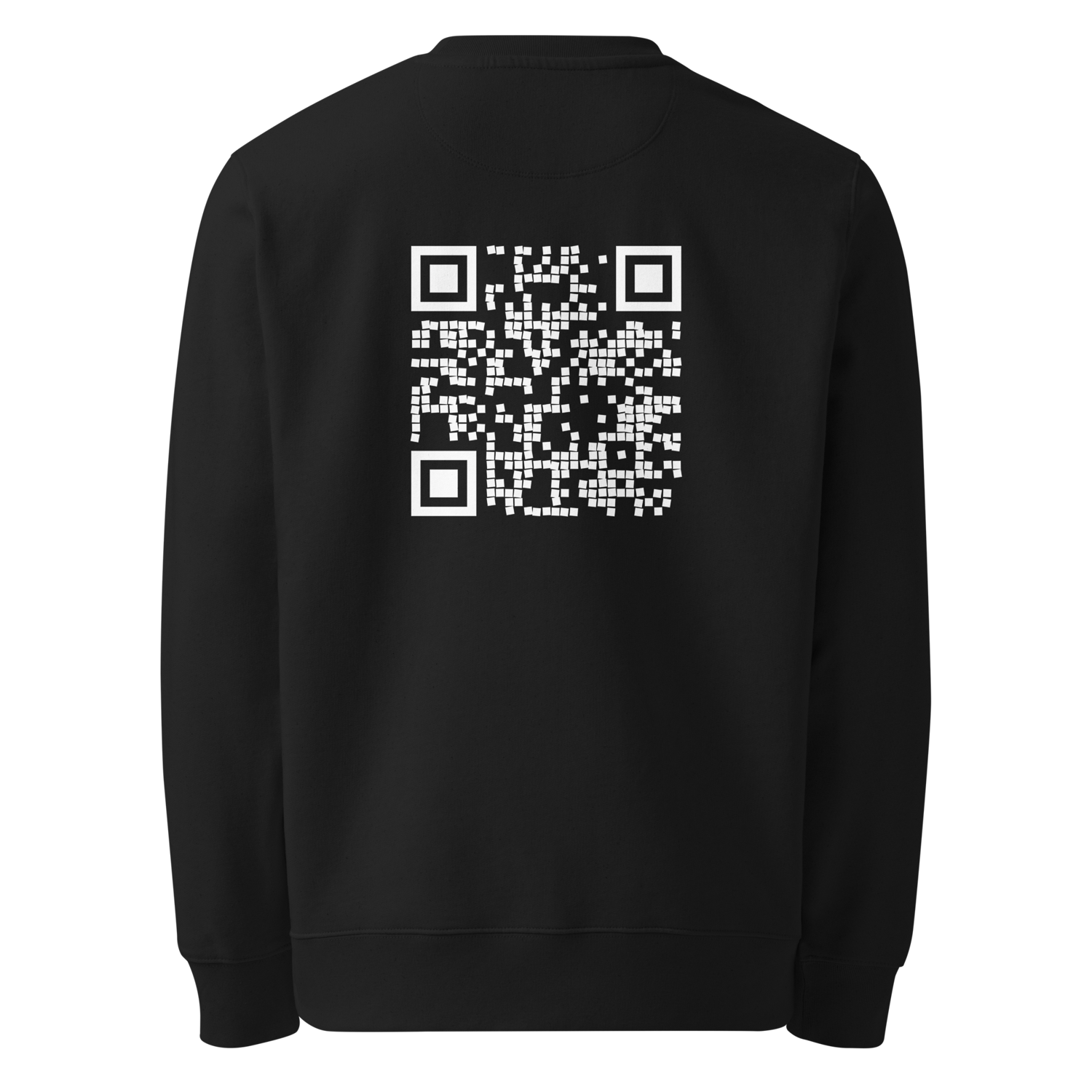 unisex-eco-sweatshirt-black-back-68e2c6e10ddde